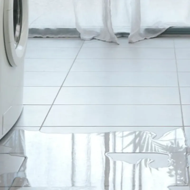 Appliance Leak Cleanup in Windsor, CA